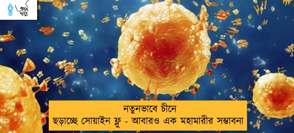 নতুনভাবে চীনে ছড়াচ্ছে সোয়াইন ফ্লু - আবারও এক মহামারীর সম্ভাবনা