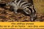 গভীর ভাবে উদ্বিগ্ন, পরিস্থিতির উপর নজর রাখছি - অ্যাপ নিষিদ্ধ করা নিয়ে প্রতিক্রিয়া চীনের