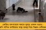 ধর্মতলার গর্জন নেই - তবু মমতার বার্তার অপেক্ষায় গোটা বাংলা, নজর বিরোধীদেরও