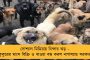 লাদাখবাসীর সতর্কবার্তায় কান না দিলে ফল ভুগতে হবে - ভিডিও পোস্ট করে কটাক্ষ রাহুল গান্ধীর