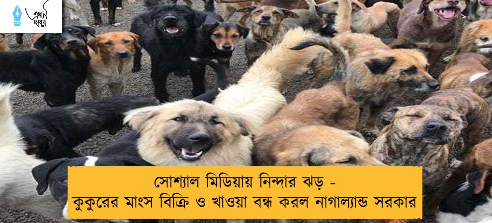 সোশ্যাল মিডিয়ায় নিন্দার ঝড় - কুকুরের মাংস বিক্রি ও খাওয়া বন্ধ করল নাগাল্যান্ড সরকার