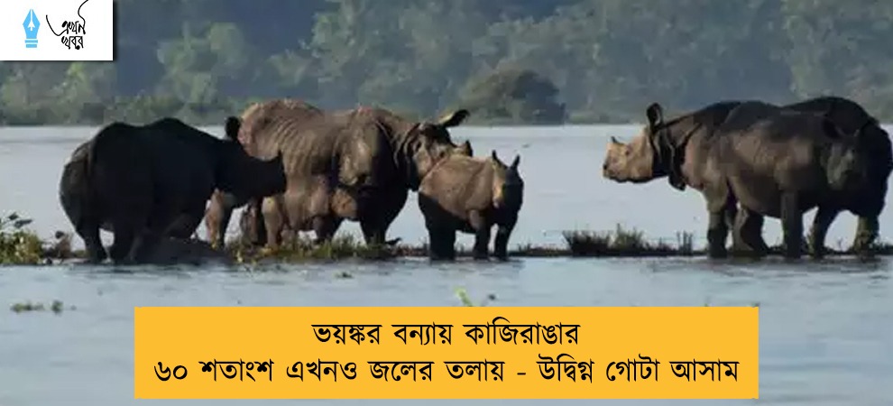 ভয়ঙ্কর বন্যায় কাজিরাঙার ৬০ শতাংশ এখনও জলের তলায় - উদ্বিগ্ন গোটা আসাম