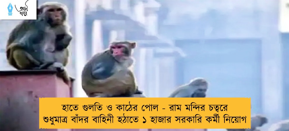 হাতে গুলতি ও কাঠের পোল - রাম মন্দির চত্বরে শুধুমাত্র বাঁদর বাহিনী হঠাতে ১ হাজার সরকারি কর্মী নিয়োগ