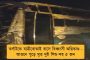আমেরিকার ভাইস প্রেসিডেন্ট হওয়ার দৌড়ে ভারতীয় বংশোদ্ভূত কমলা হ্যারিস - কুমন্তব্য করে তুচ্ছ তাচ্ছিল্য ট্রাম্পের
