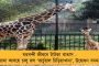 এক সপ্তাহে ৩ বার জঙ্গী হামলা কাশ্মীরে - বারামুলায় শহীদ দুই জওয়ান ও এক পুলিশ কর্মী