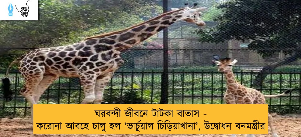 ঘরবন্দী জীবনে টাটকা বাতাস - করোনা আবহে চালু হল ‘ভার্চুয়াল চিড়িয়াখানা’, উদ্বোধন বনমন্ত্রীর