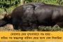 করোনা মহামারীর জেরে চরম দারিদ্রের শিকার হবেন বিশ্বের ১০ কোটি মানুষ -  জানাল ওয়ার্ল্ড ব্যাঙ্ক