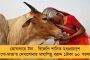 আবু ধাবিতে কোয়ারেন্টাইন নিয়ে কড়াকড়ি - অনুশীলনে নামতে মরিয়া নাইট শিবির