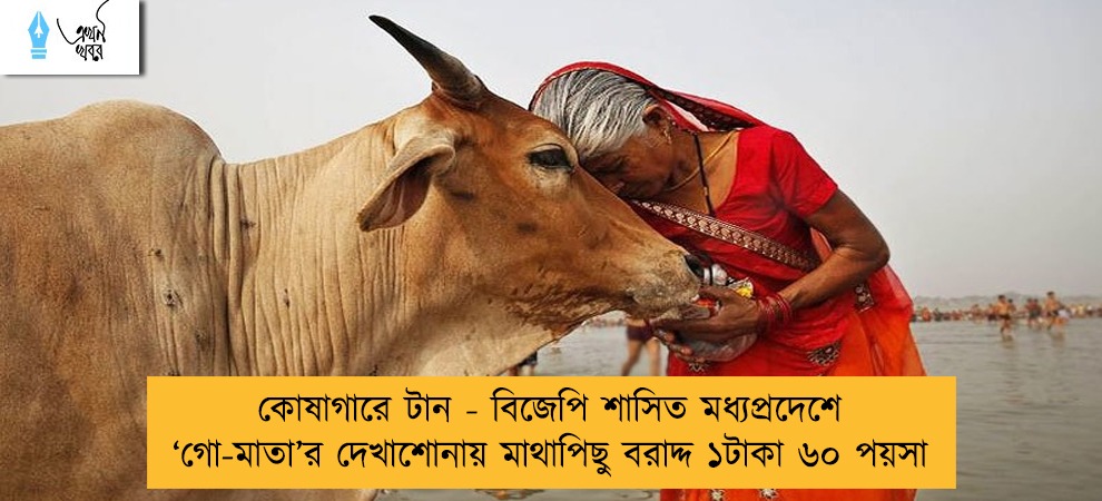 কোষাগারে টান - বিজেপি শাসিত মধ্যপ্রদেশে ‘গো-মাতা’র দেখাশোনায় মাথাপিছু বরাদ্দ ১টাকা ৬০ পয়সা
