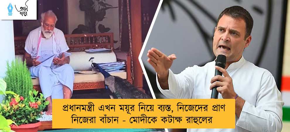 প্রধানমন্ত্রী এখন ময়ূর নিয়ে ব্যস্ত, নিজেদের প্রাণ নিজেরা বাঁচান - মোদীকে কটাক্ষ রাহুলের