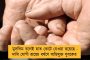 ফের দুর্গাপুজো নিয়ে ভুয়ো ফেসবুক পোস্ট - ধৃত কলকাতার ২ যুবক