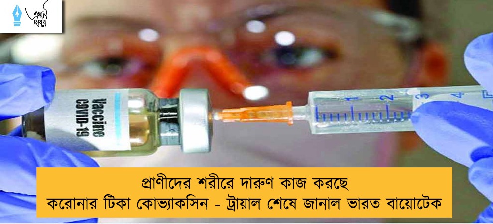 প্রাণীদের শরীরে দারুণ কাজ করছে করোনার টিকা কোভ্যাকসিন - ট্রায়াল শেষে জানাল ভারত বায়োটেক