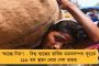 রাসেল-নারিনদের শেখাচ্ছেন দ্রুত দৌড়নোর কৌশল - নাইট শিবিরে কিউয়ি অলিম্পিয়ান