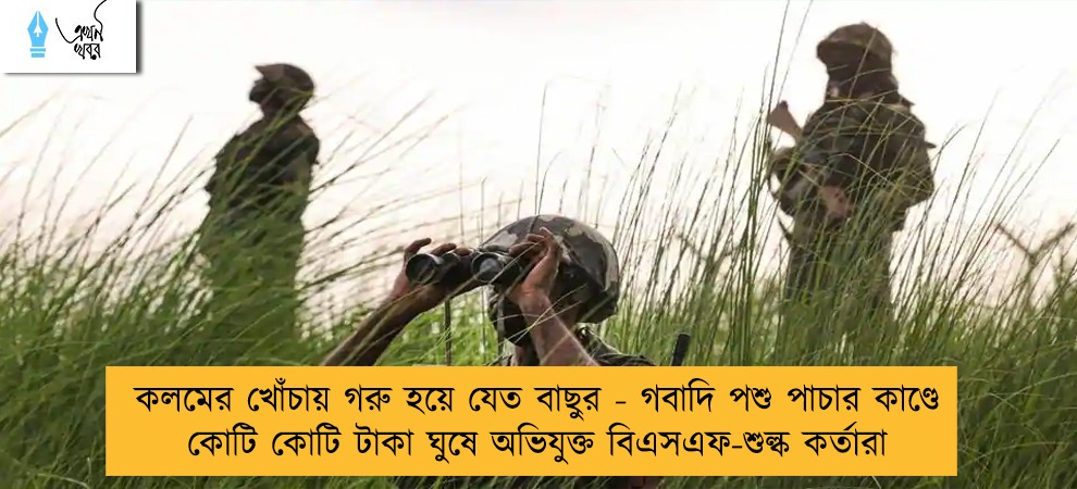 কলমের খোঁচায় গরু হয়ে যেত বাছুর - গবাদি পশু পাচার কাণ্ডে কোটি কোটি টাকা ঘুষে অভিযুক্ত বিএসএফ-শুল্ক কর্তারা