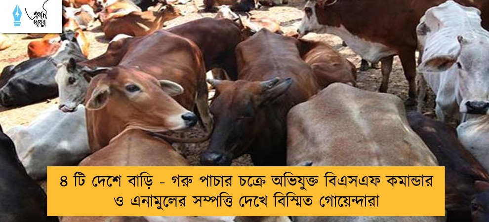 ৪ টি দেশে বাড়ি - গরু পাচার চক্রে অভিযুক্ত বিএসএফ কমান্ডার ও এনামুলের সম্পত্তি দেখে বিস্মিত গোয়েন্দারা