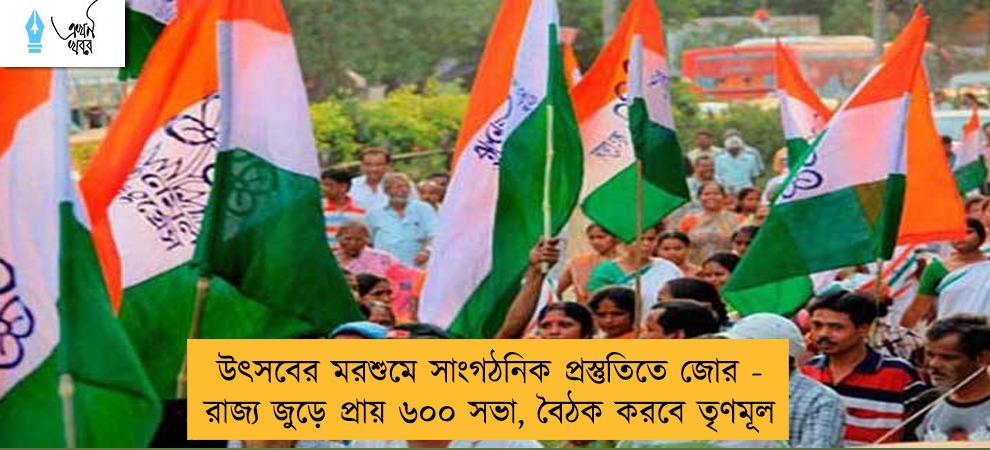 উৎসবের মরশুমে সাংগঠনিক প্রস্তুতিতে জোর - রাজ্য জুড়ে প্রায় ৬০০ সভা, বৈঠক করবে তৃণমূল