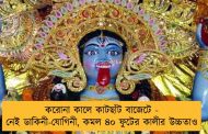 করোনা কালে কাটছাঁট বাজেটে - নেই ডাকিনী-যোগিনী, কমল ৪০ ফুটের কালীর উচ্চতাও