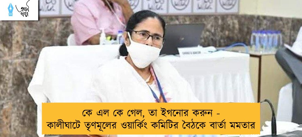 কে এল কে গেল, তা ইগনোর করুন - কালীঘাটে তৃণমূলের ওয়ার্কিং কমিটির বৈঠকে বার্তা মমতার