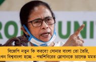 বিজেপি নতুন কি করবে? সোনার বাংলা তো তৈরি, এখন বিশ্ববাংলা হচ্ছে - পদ্মশিবিরের স্লোগানকে চ্যালেঞ্জ মমতার