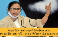 কালো টাকা সাদা করতেই বিজেপিতে যোগ, ওরা হল ভারতীয় জাঙ্ক পার্টি - গেরুয়া শিবিরকে তীব্র আক্রমণ মমতার