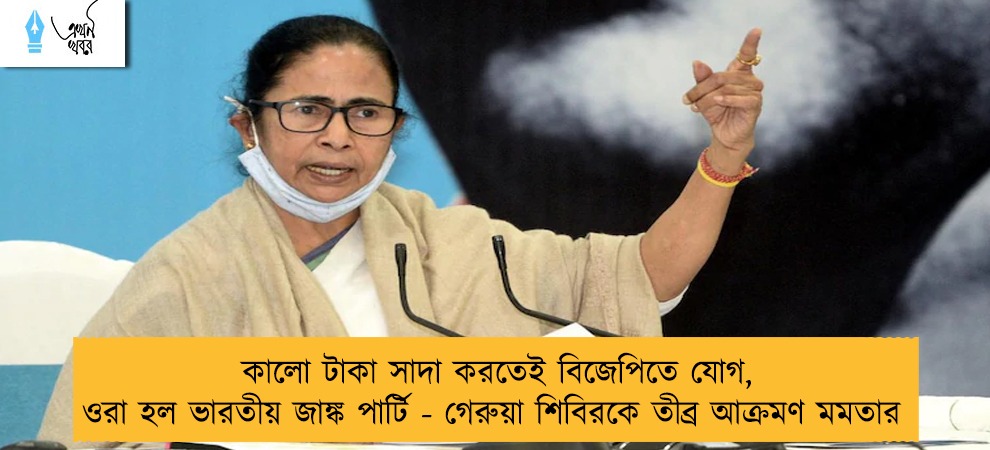 কালো টাকা সাদা করতেই বিজেপিতে যোগ, ওরা হল ভারতীয় জাঙ্ক পার্টি - গেরুয়া শিবিরকে তীব্র আক্রমণ মমতার