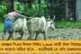 নিলামের আগেই কার্তিক-কুলদীপকে ছাড়তে পারে কেকেআর - সংশয় কামিন্সের থাকা নিয়েও