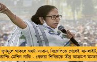 তৃণমূলে থাকলে ঘষটা সাবান, বিজেপিতে গেলেই সানলাইট, ওয়াশিং মেশিন নাকি - গেরুয়া শিবিরকে তীব্র আক্রমণ মমতার
