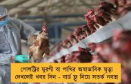 পোলট্রির মুরগী বা পাখির অস্বাভাবিক মৃত্যু দেখলেই খবর দিন - বার্ড ফ্লু নিয়ে সতর্ক নবান্ন