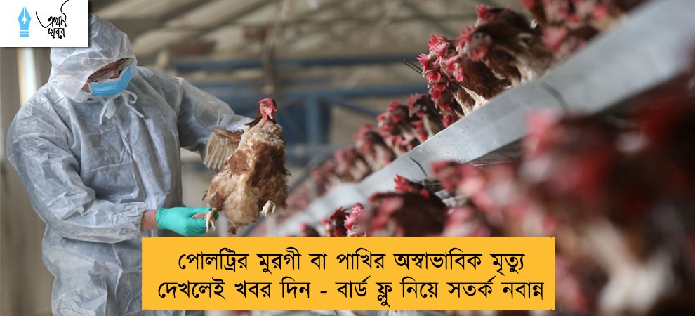 পোলট্রির মুরগী বা পাখির অস্বাভাবিক মৃত্যু দেখলেই খবর দিন - বার্ড ফ্লু নিয়ে সতর্ক নবান্ন