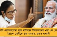 ৩ কোটি কোভিডযোদ্ধা ছাড়া বাকিদের টিকাকরণের খরচ কে দেবে? - বৈঠকে মোদীকে প্রশ্ন মমতার, জবাব অধরাই