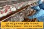 ভারতীয় দলে করোনার মতো ছড়াচ্ছে চোট - এবার ছিটকে গেলেন বুমরাও