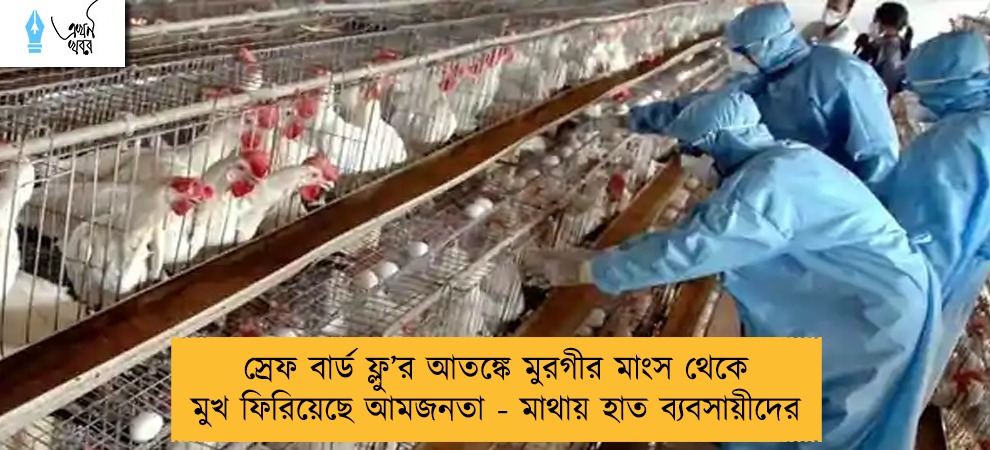 স্রেফ বার্ড ফ্লু’র আতঙ্কে মুরগীর মাংস থেকে মুখ ফিরিয়েছে আমজনতা - মাথায় হাত ব্যবসায়ীদের