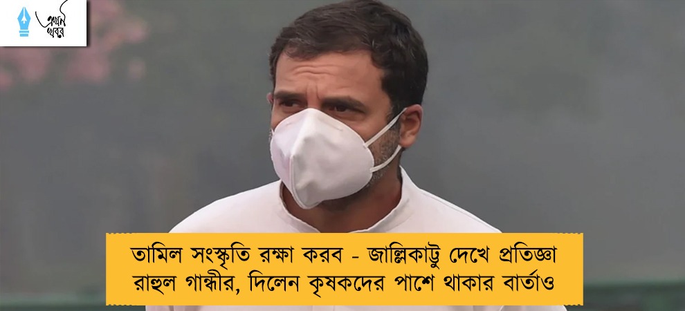 তামিল সংস্কৃতি রক্ষা করব - জাল্লিকাট্টু দেখে প্রতিজ্ঞা রাহুল গান্ধীর, দিলেন কৃষকদের পাশে থাকার বার্তাও