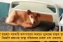করোনা আবহে আসবেন না কোনও বিদেশি রাষ্ট্রনেতা - প্রধান অতিথি ছাড়াই পালিত হবে প্রজাতন্ত্র দিবস