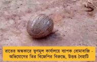 রাতের অন্ধকারে তৃণমূল কার্যালয়ে ব্যাপক বোমাবাজি - অভিযোগের তির বিজেপির বিরুদ্ধে, উত্তপ্ত নৈহাটি