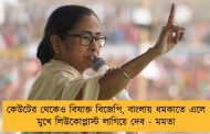 কেউটের থেকেও বিষাক্ত বিজেপি, বাংলায় ধমকাতে এলে মুখে লিউকোপ্লাস্ট লাগিয়ে দেব - মমতা