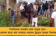 পিকনিকের আবর্জনা জমে বাড়ছে দূষণ - কোদাল হাতে খাল সংস্কারে নামলেন চুঁচুড়ার তৃণমূল বিধায়ক