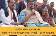 বিজেপি পাগল ছাগলের দল, রাজ্যে ক্ষমতায় আসবেন ফের মমতাই - তোপ অনুব্রতর