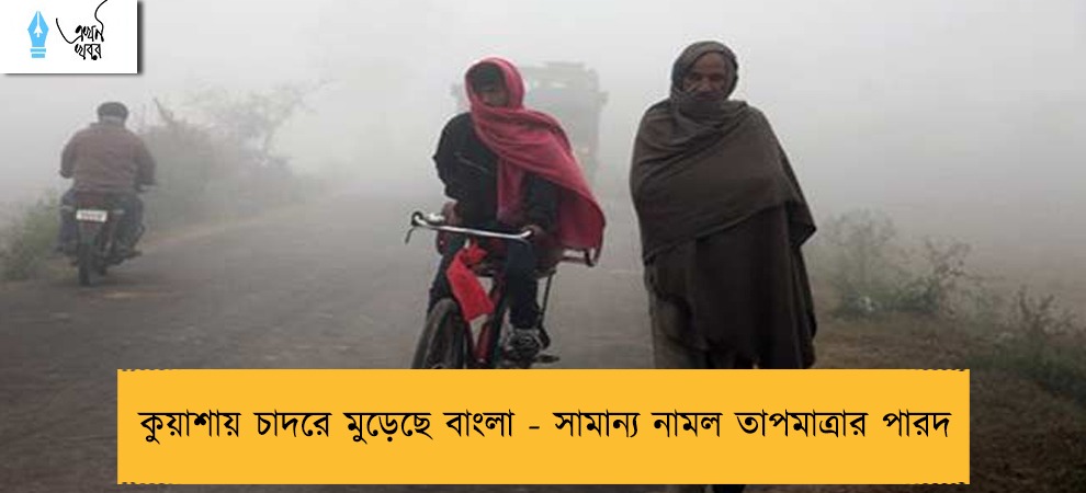 কুয়াশায় চাদরে মুড়েছে বাংলা - সামান্য নামল তাপমাত্রার পারদ