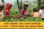 আগামী সপ্তাহেই বিধানসভা নির্বাচনের দিন ঘোষণা করতে পারে কমিশন - ইঙ্গিত সুব্রতর