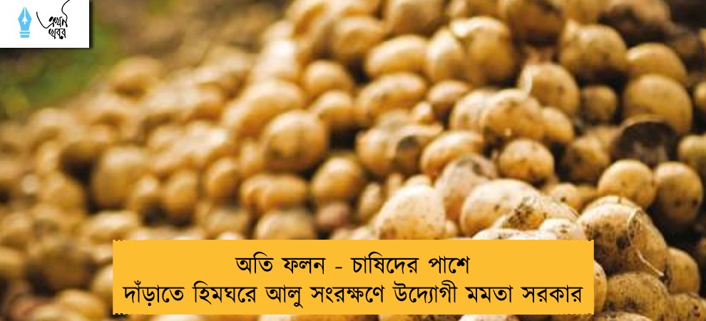 অতি ফলন - চাষিদের পাশে দাঁড়াতে হিমঘরে আলু সংরক্ষণে উদ্যোগী মমতা সরকার