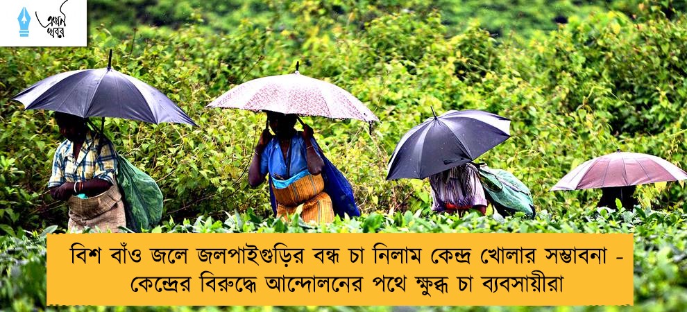 বিশ বাঁও জলে জলপাইগুড়ির বন্ধ চা নিলাম কেন্দ্র খোলার সম্ভাবনা - কেন্দ্রের বিরুদ্ধে আন্দোলনের পথে ক্ষুব্ধ চা ব্যবসায়ীরা