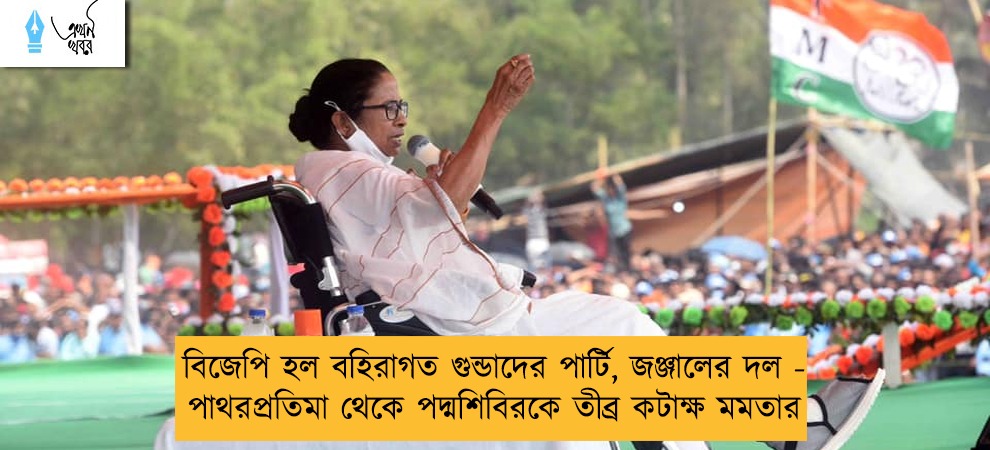 বিজেপি হল বহিরাগত গুন্ডাদের পার্টি, জঞ্জালের দল - পাথরপ্রতিমা থেকে পদ্মশিবিরকে তীব্র কটাক্ষ মমতার