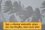 ফের শতরান ফখর জামানের - ম্যাচ জিতিয়ে সিরিজ সেরা পাকিস্তানি ওপেনার