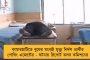 ভোটারদের বিজেপিতে ভোট দেওয়ার নির্দেশ দিচ্ছেন জওয়ানরা - মালবাজারে অভিযোগ কেন্দ্রীয় বাহিনীর বিরুদ্ধে