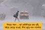 ব্রাজিলের ক্রিকেটে অভিনব ভাবনা - তৈরি হচ্ছে ব্যাট
