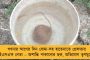 উচ্চমাধ্যমিক এবছর নিজের স্কুলেই, বাতিল একাদশের বার্ষিক পরীক্ষা - সিদ্ধান্ত শিক্ষা সংসদের