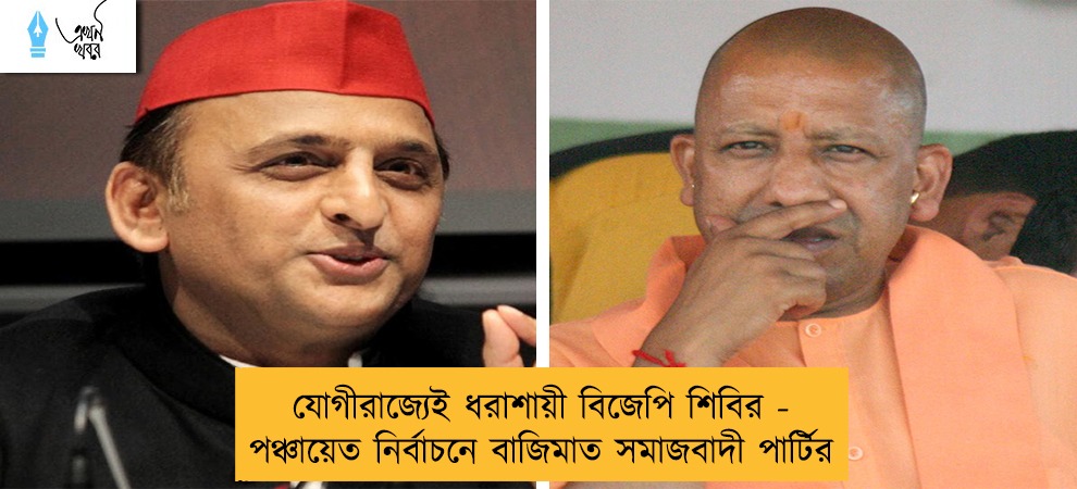 যোগীরাজ্যেই ধরাশায়ী বিজেপি শিবির - পঞ্চায়েত নির্বাচনে বাজিমাত সমাজবাদী পার্টির