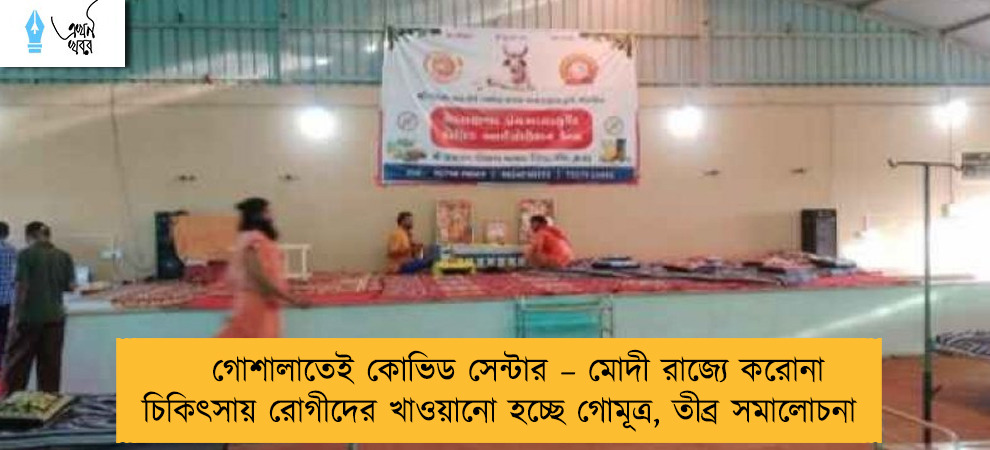 গোশালাতেই কোভিড সেন্টার – মোদী রাজ্যে করোনা চিকিৎসায় রোগীদের খাওয়ানো হচ্ছে গোমূত্র, তীব্র সমালোচনা