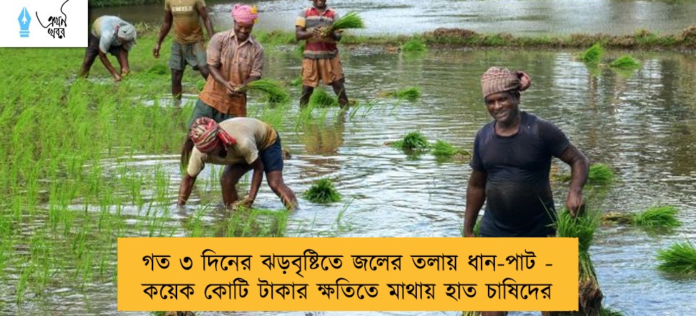 গত ৩ দিনের ঝড়বৃষ্টিতে জলের তলায় ধান-পাট - কয়েক কোটি টাকার ক্ষতিতে মাথায় হাত চাষিদের